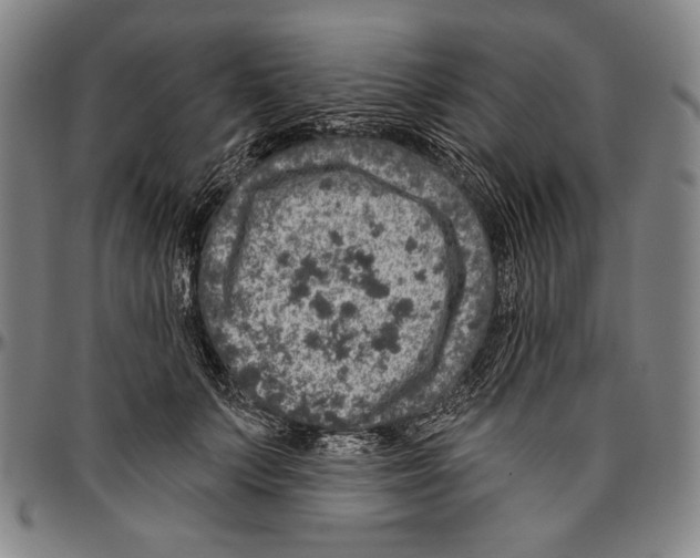 X0000096470703200802211150