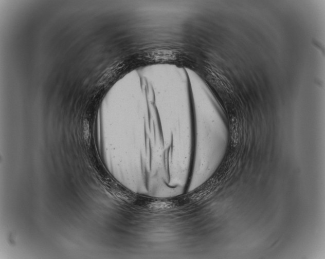 X0000096470704200802211150