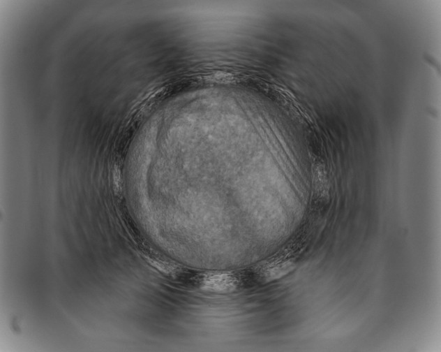 X0000096470705200802211150