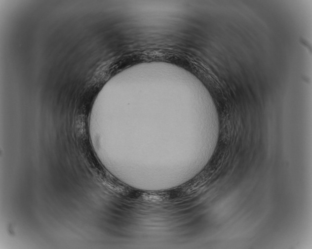 X0000096470706200802211150