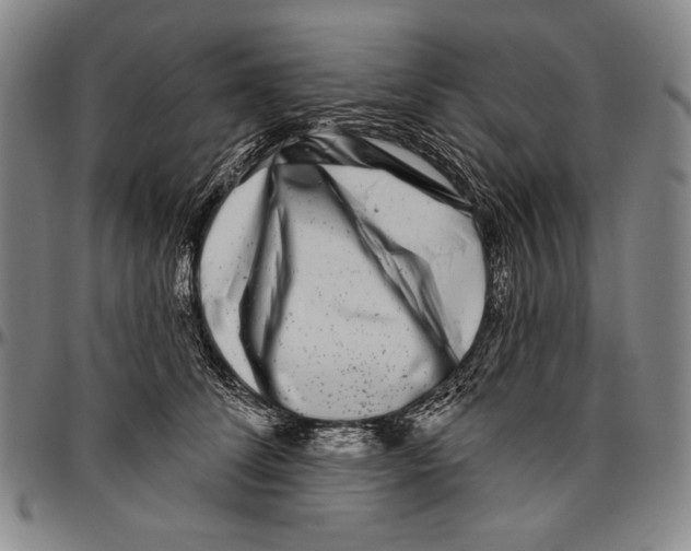 X0000096470708200802211150