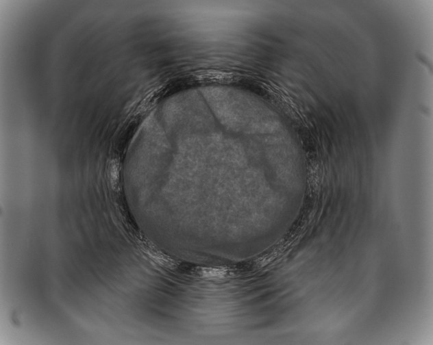 X0000096470709200802211150