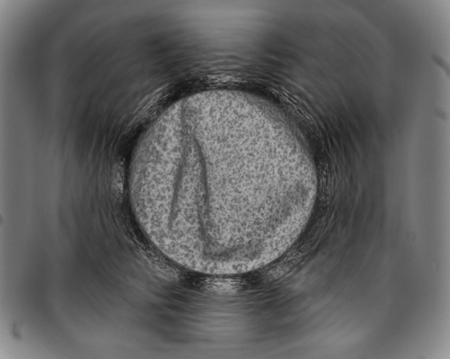 X0000096470710200802211150