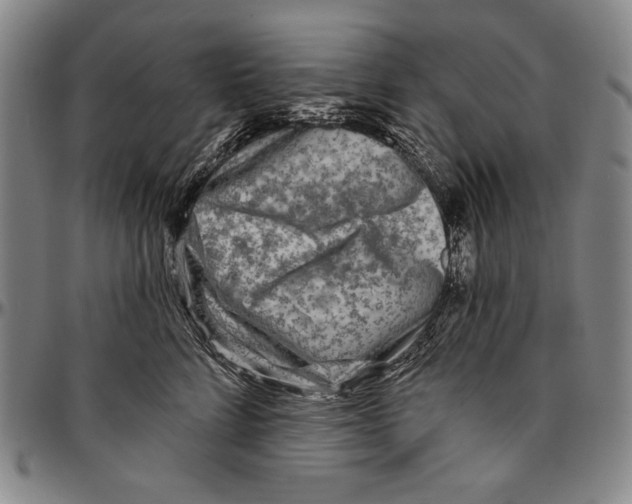 X0000096470712200802211150