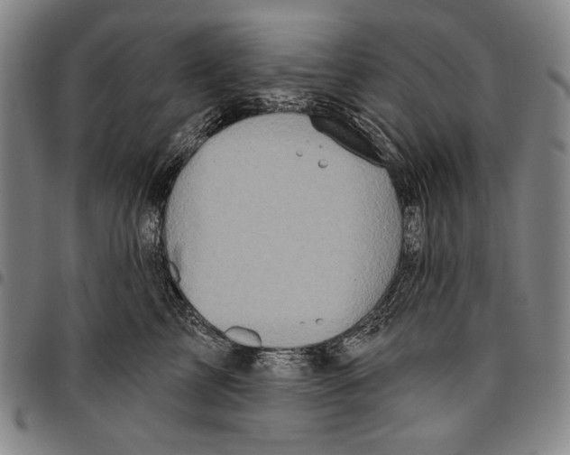 X0000096470713200802211150