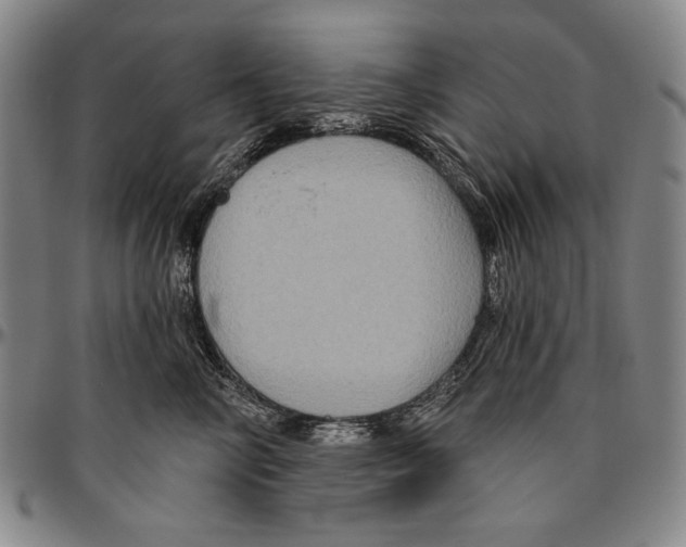 X0000096470714200802211150