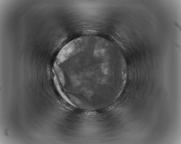 X0000096470716200802211150