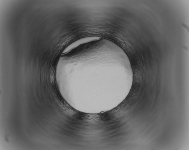 X0000096470719200802211150