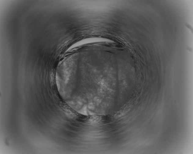 X0000096470720200802211150