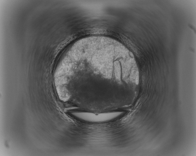 X0000096470721200802211149