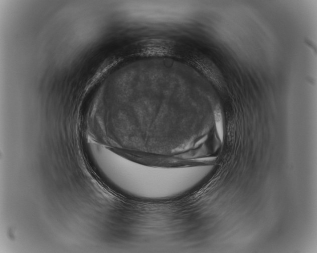 X0000096470722200802211149