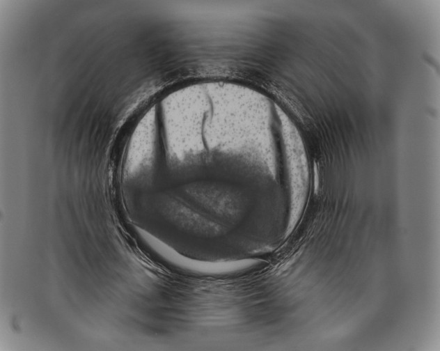 X0000096470723200802211149