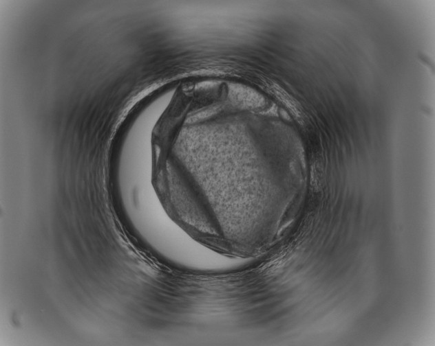 X0000096470724200802211149