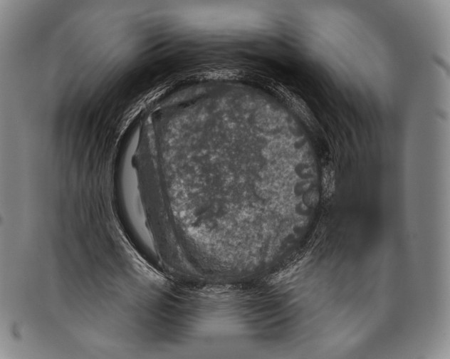 X0000096470725200802211149