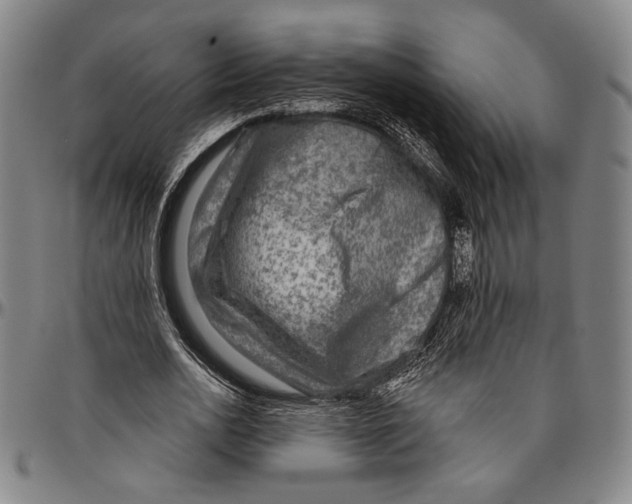 X0000096470726200802211149