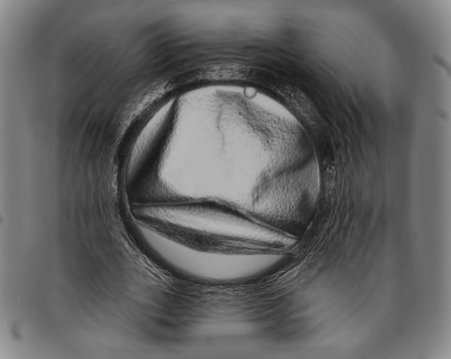 X0000096470727200802211149