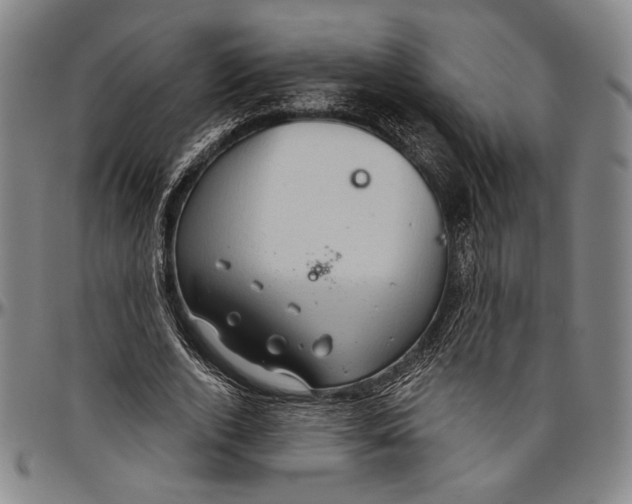 X0000096470728200802211150