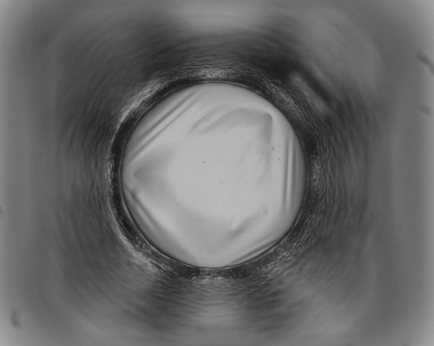 X0000096470730200802211150