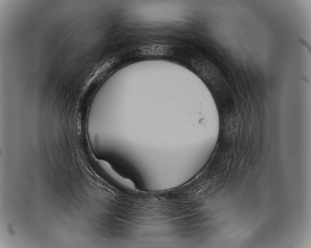 X0000096470731200802211150