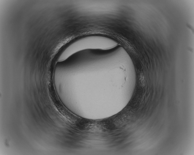 X0000096470732200802211150