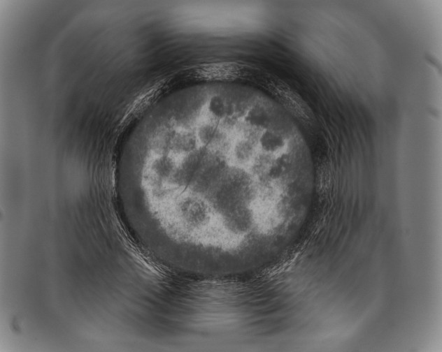 X0000096470733200802211150