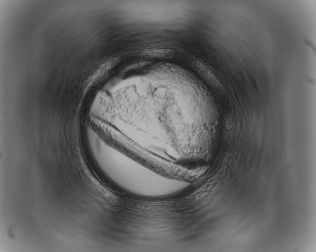 X0000096470734200802211150