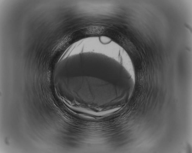 X0000096470735200802211150