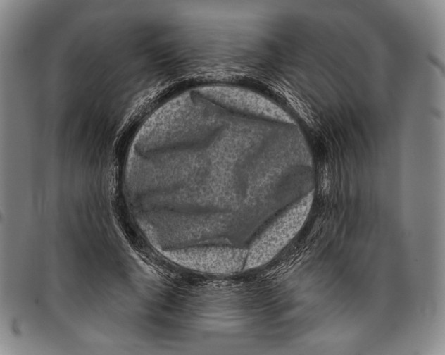 X0000096470736200802211150