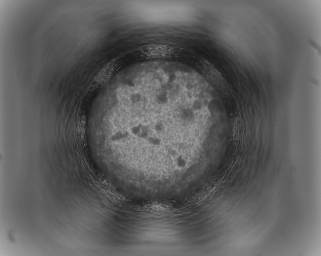 X0000096470737200802211150