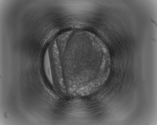 X0000096470738200802211150