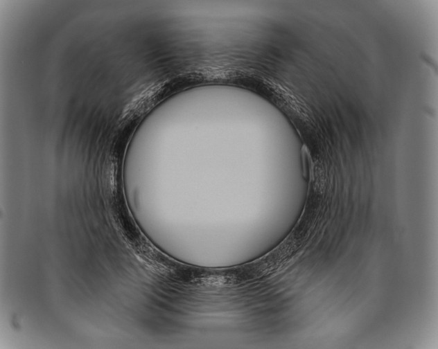 X0000096470740200802211150