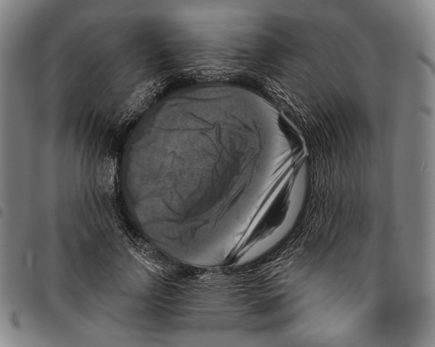 X0000096470742200802211150