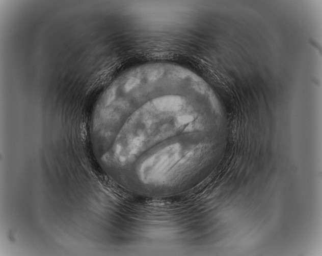 X0000096470746200802211150