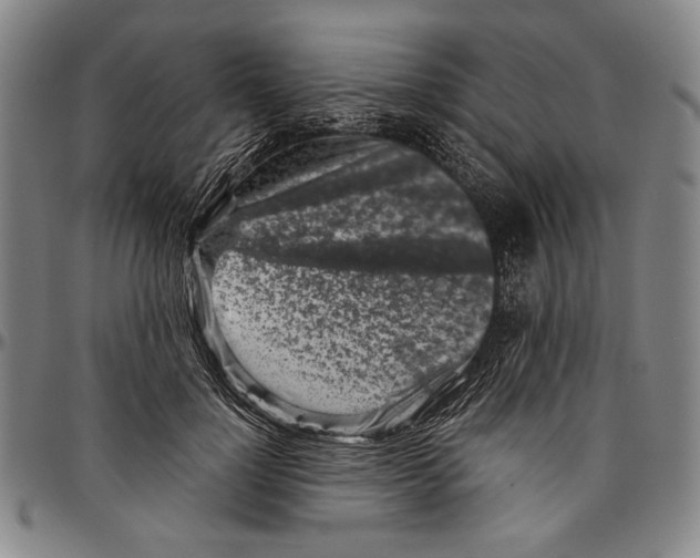 X0000096470748200802211150