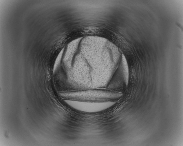 X0000096470751200802211150