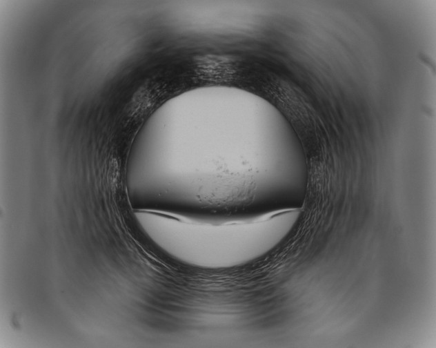 X0000096470752200802211150