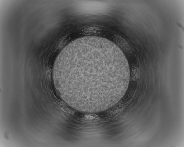 X0000096470753200802211150