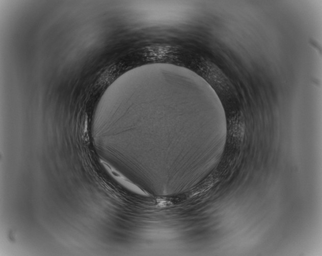 X0000096470754200802211150