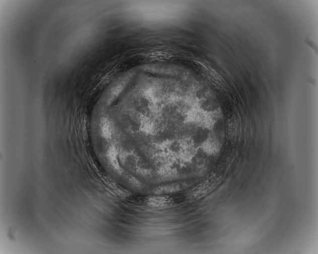 X0000096470757200802211150