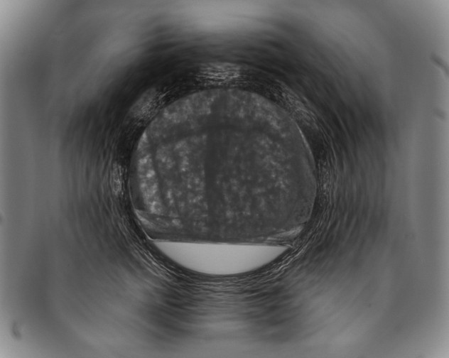 X0000096470758200802211150