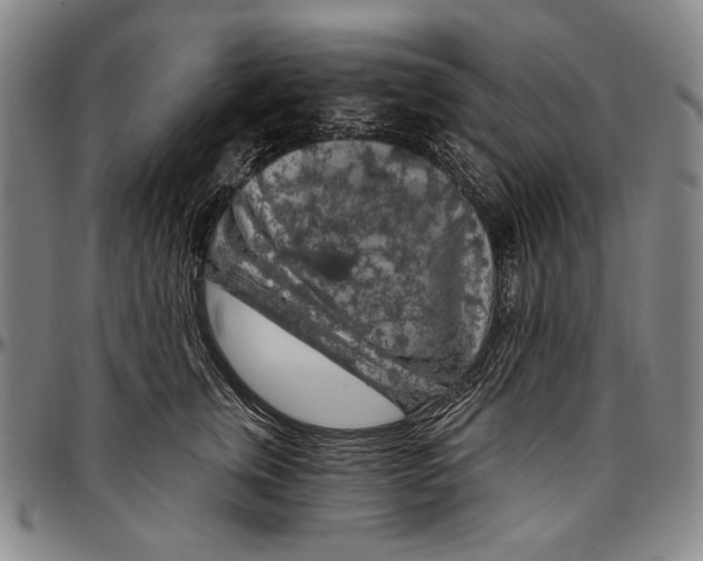 X0000096470759200802211150