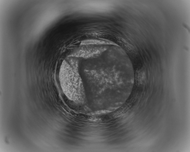 X0000096470760200802211150