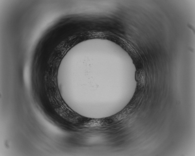 X0000096470764200802211150