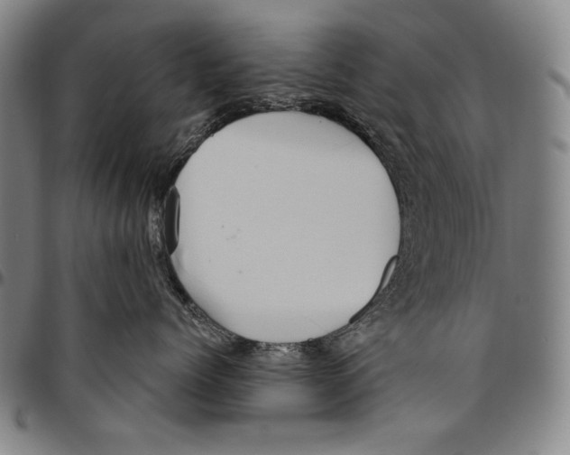 X0000096470768200802211150