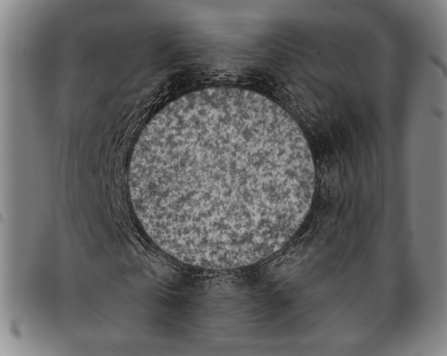 X0000096470769200802211149