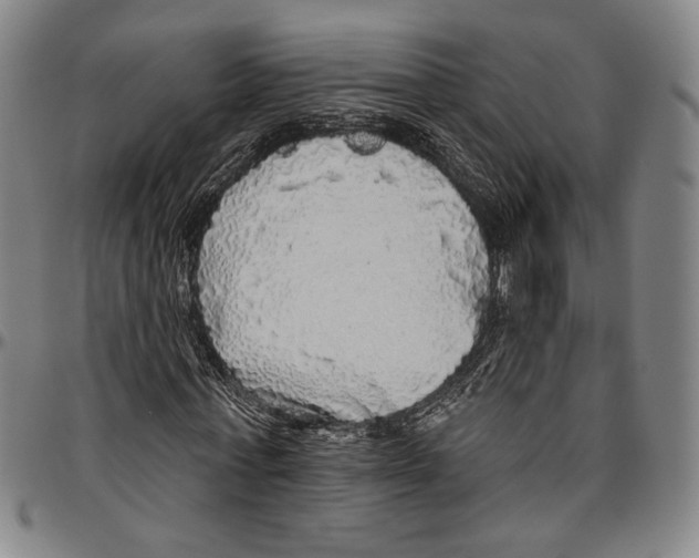 X0000096470771200802211149