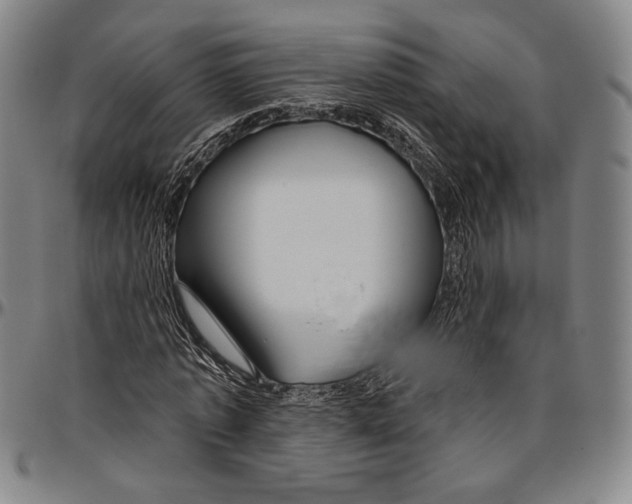 X0000096470773200802211149