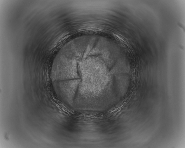 X0000096470774200802211149