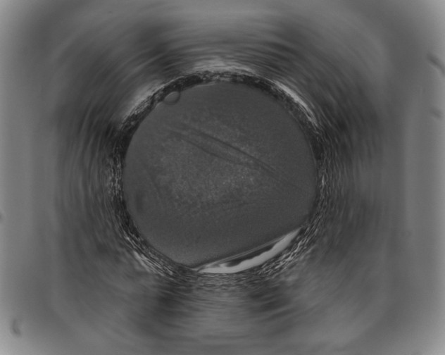 X0000096470775200802211149