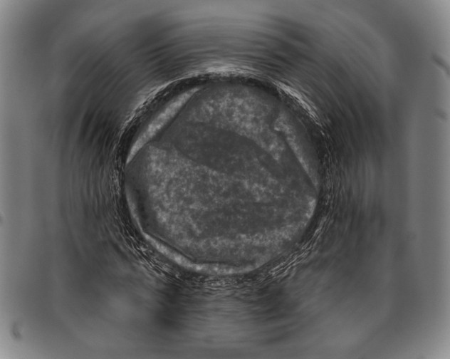 X0000096470776200802211149